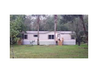 25326 Bartholomew St, Xmas, FL 32709-9519