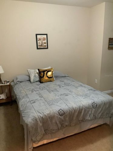 10424 Yellow Spice Ct, Riverview FL  33568 exterior