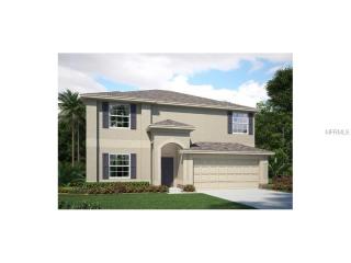 15407 Feather Star Pl, Ruskin, FL 33573-0195