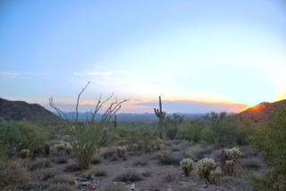 20961 109th Pl, Scottsdale, AZ 85255-3378