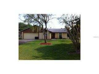 3421 Douglas Ct, Kissimmee, FL 34746-3610