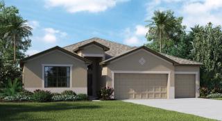 10049 Celtic Ash Dr, Ruskin, FL 33573-6730