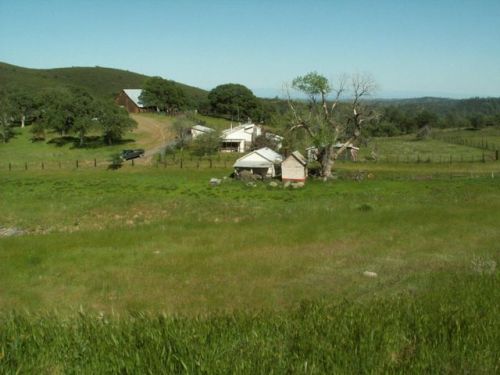 5295 Tedoc Rd, Wildwood, CA 96076-9608