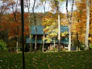 117 Whitaker Rd, Saxonburg, PA 16056-9319