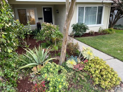 142 Farnham Ct, San Jose, CA 95139-1217