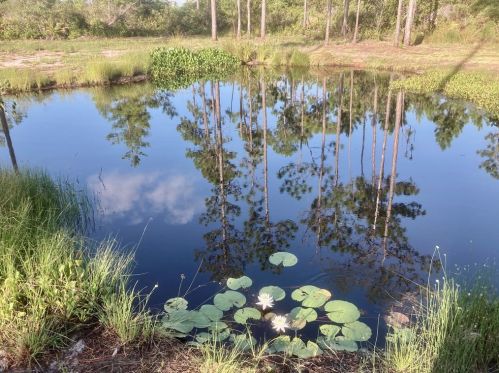 210 Ridgecrest Pkwy, Saint George Island FL  32328-3377 exterior