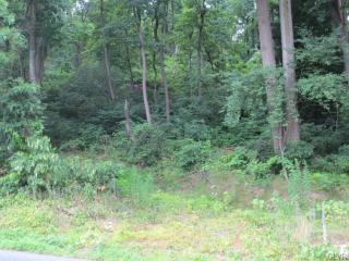 2571 Brunner Rd, Emmaus, PA 18049-4622