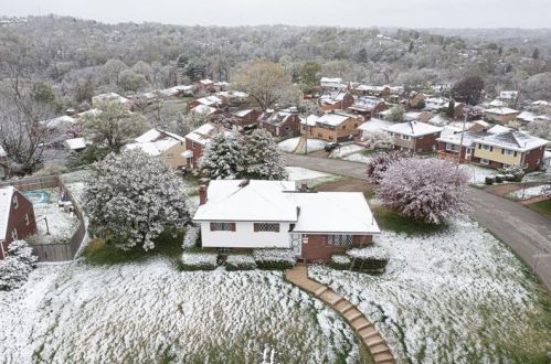 167 Shannon Heights Dr, Verona PA  15147-2819 exterior