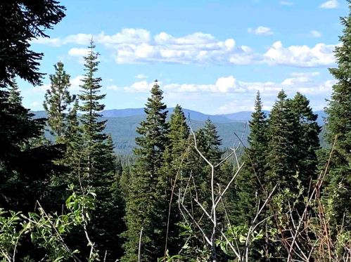 11805 Ski Slope Way, Truckee, CA 96161-6617