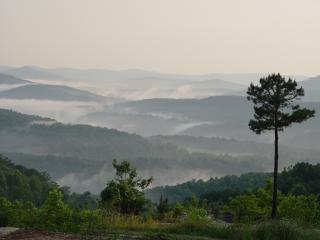 145 Lilly Ln, Crawford, TN 38554-3453