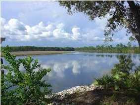 493 Mill Rd, Carrabelle, FL 32322-5034