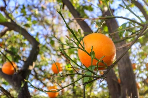 1229 Carmel Dr, Simi Valley CA 93065-4118 exterior