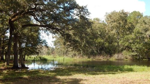 17639 Palamino Lk Dr, Dade City FL 33523-1949 exterior