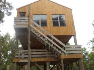 827 Pecan Grove Rd, Ashwood, MS 39669