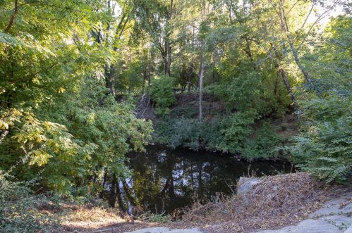 212 Riverside Ave, Ben Lomond CA  95005-9588 exterior