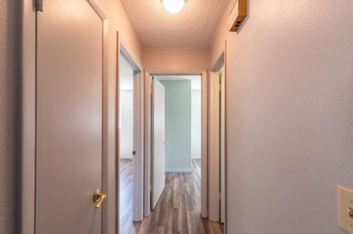 1700 Thor Ave, Apopka FL  32703-4740 exterior