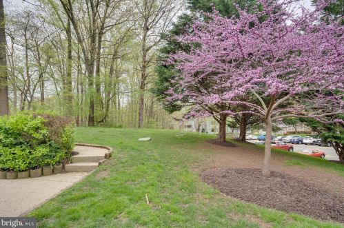 7779 Willow Pt Dr, Falls Church VA  22042-7536 exterior