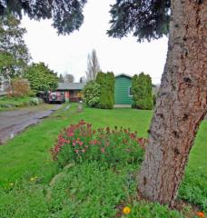 4056 151 St, Seattle WA  98188-2225 exterior