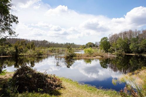 5729 Sweet Cherry Ln, Land O Lakes FL  34639-3447 exterior