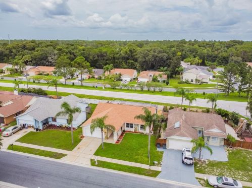 8231 Matthew Dr, New Port Richey, FL 34653-5059