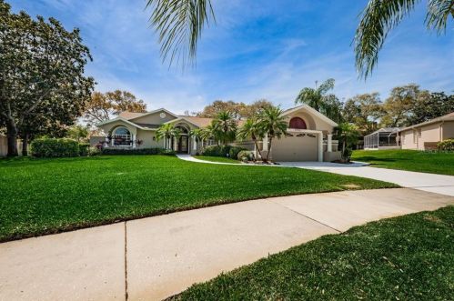 1551 Mcauliffe Ln, Palm Harbor, FL 34683-7209
