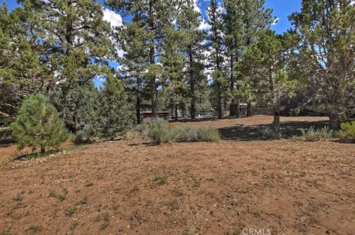 1178 Ln, Big Bear City CA  92314 exterior