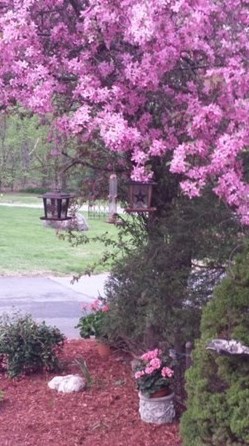 35 Hazen Rd, Shirley MA  01464-2721 exterior