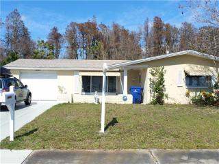 3343 Maitland Dr, Tarpon Springs, FL 34691-1559