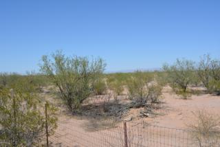 6700 Blanco Wash Trl, Marana, AZ