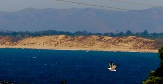 751 Hawthorne St, Monterey, CA 93940-1101