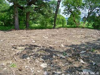 3171 Underwood Hill Rd, Mcgraw, NY 13101-9441