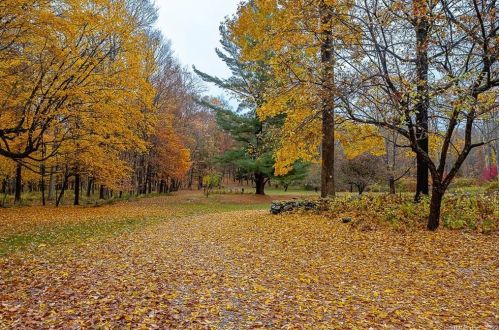 19 Clark Hill Rd, West Woods, CT 06069-2212
