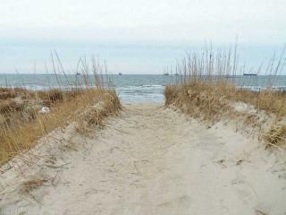 2218 Bayberry St, Virginia Beach VA  23451-1404 exterior