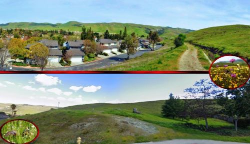 7443 Tulare Hill Dr, San Jose CA  95139-1275 exterior