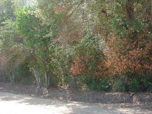 17 Eton St, Avon, AL 36312