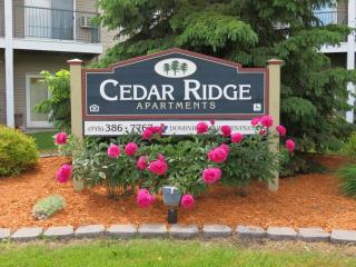 1401 Namekagon St, Hudson WI  54016-2261 exterior