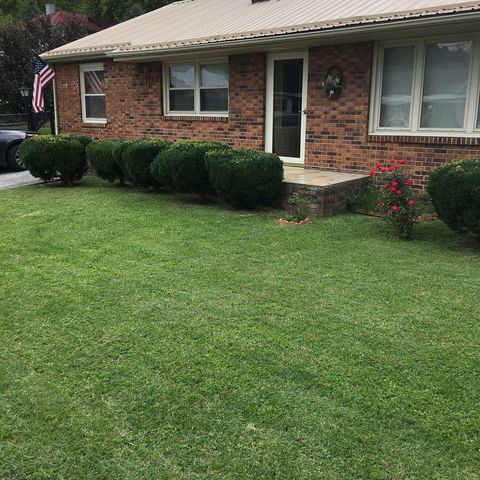 107 2nd Ave, Saltville, VA 24370-2505