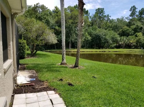 3664 Darston St, Palm Harbor FL  34685-1182 exterior