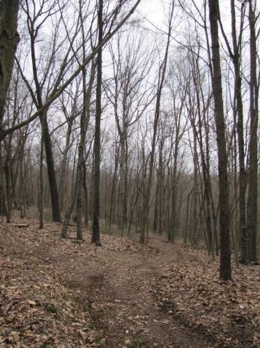 24480 Bushby Rd, Laurelville OH  43152-9712 exterior