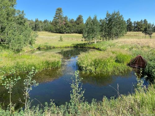 723 Chalice Dr, Horn Creek, CO 81252-9606