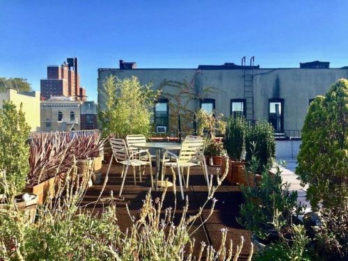 443 151st St, New York NY  10031-1800 exterior