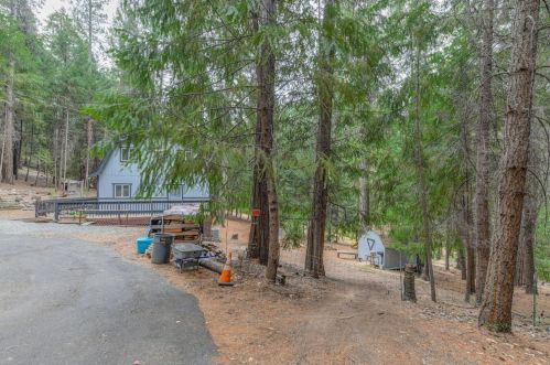16199 Pioneer Creek Rd, Pioneer CA  95666-9415 exterior