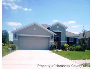 9556 Southern Charm Cir, Brooksville, FL 34613-6889
