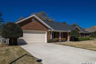 210 Vine Cliff Dr, Harvest, AL 35749-5800