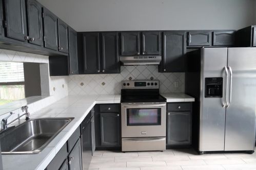 1925 Martina St, Apopka, FL 32703-1559