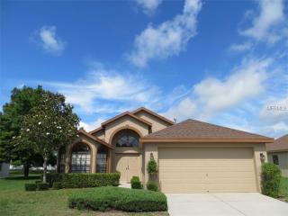 13827 Greyhawk Ct, Port Richey, FL 34669-0817