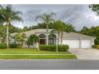 6906 Arabian Rd, Odessa, FL 33556-1824