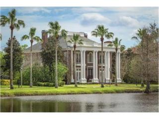 705 Eastlawn Dr, Kissimmee, FL 34747-4215