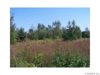 6554 Port Bay Rd, Wolcott, NY 14590-9559