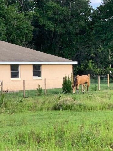 6260 Hatcher Rd, Lakeland, FL 33811-2276